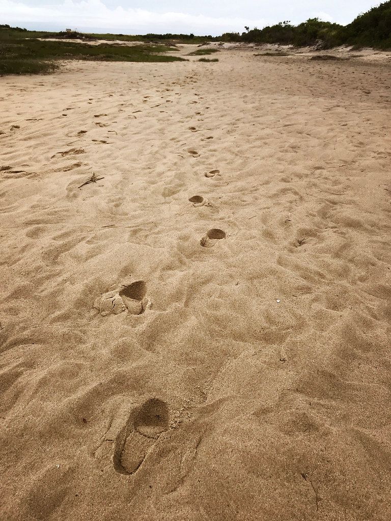Plage CA-E