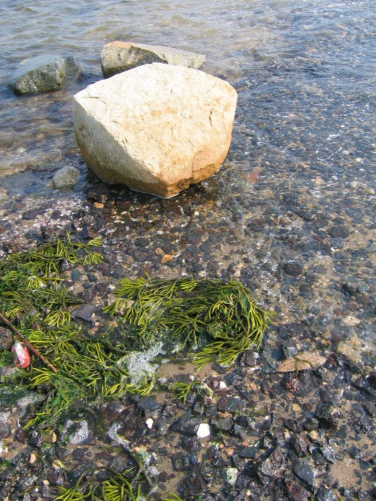 Plage US-NE