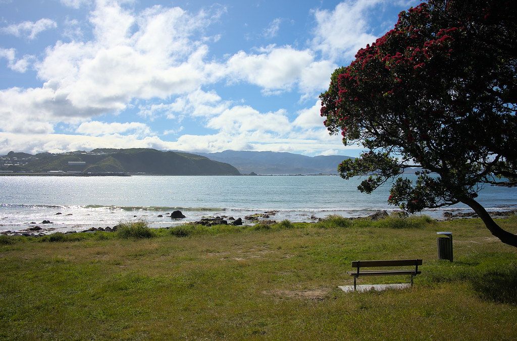 Pōhutukawa Bay