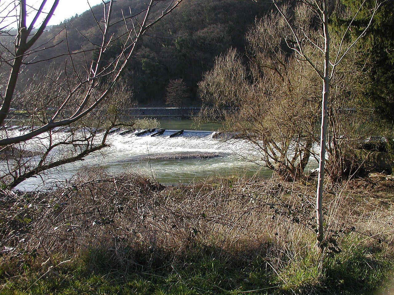 Nieverner Wehr