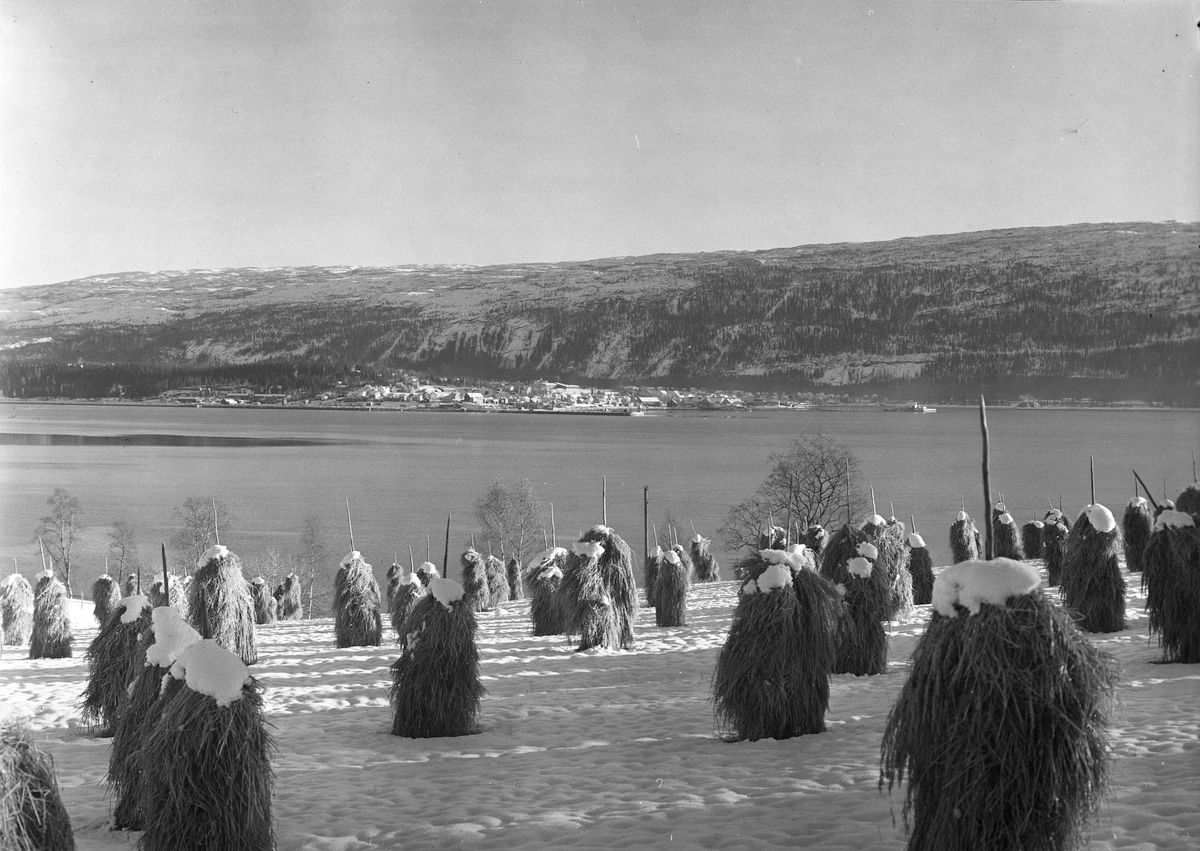 steinneset