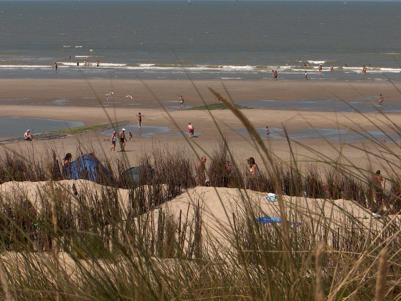 Plage BE