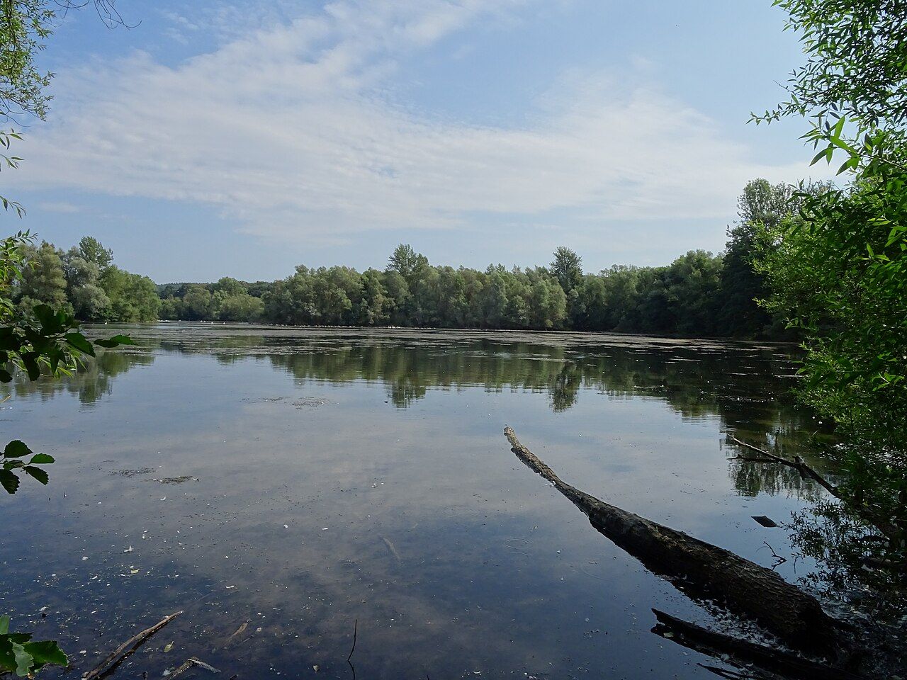 Reiherteich bei Böddiger