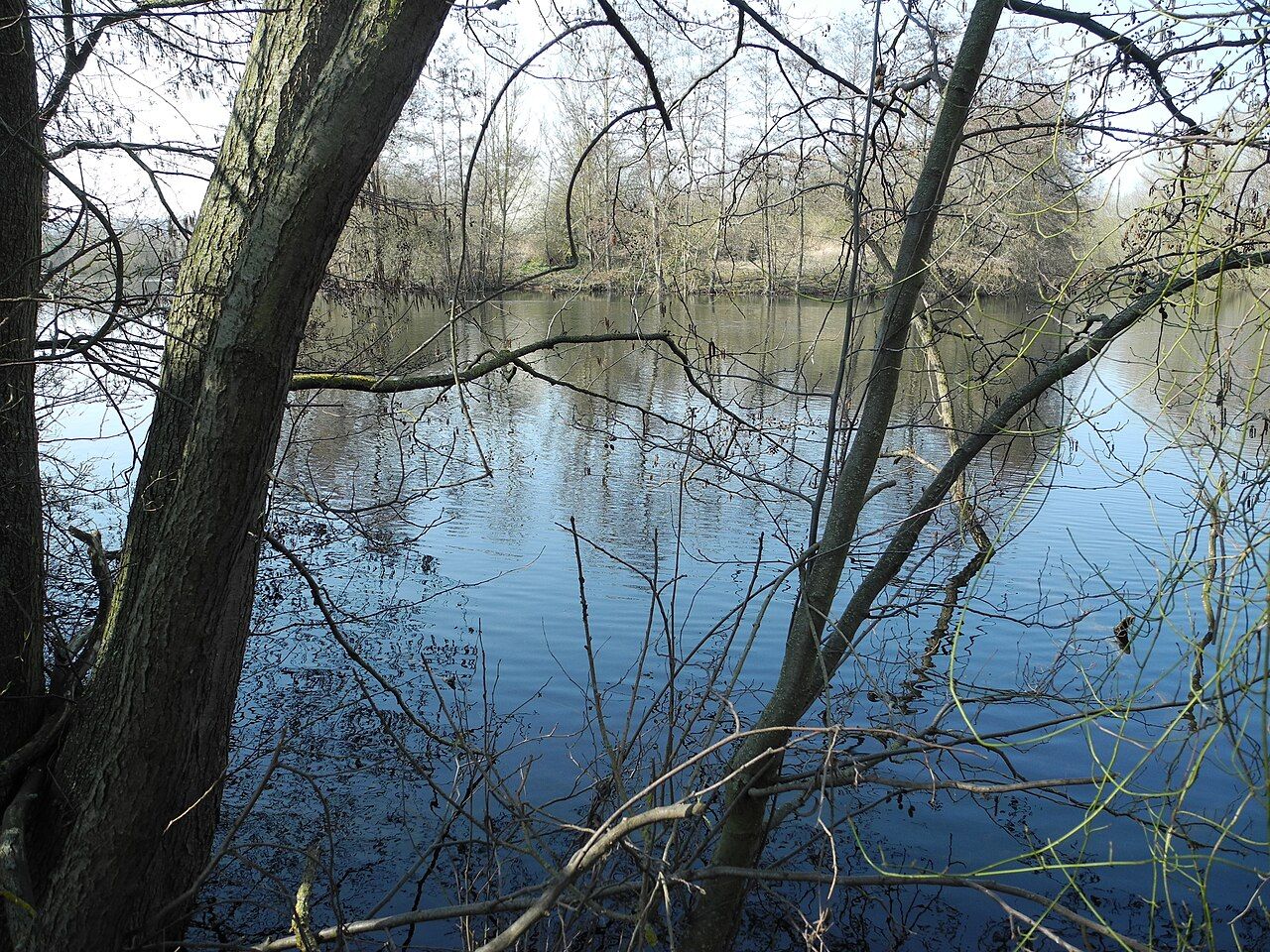 Krautwiese am Wesebach