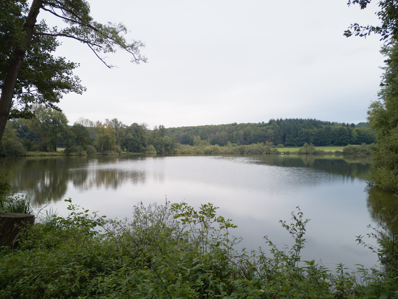 Buchhölzer Teich