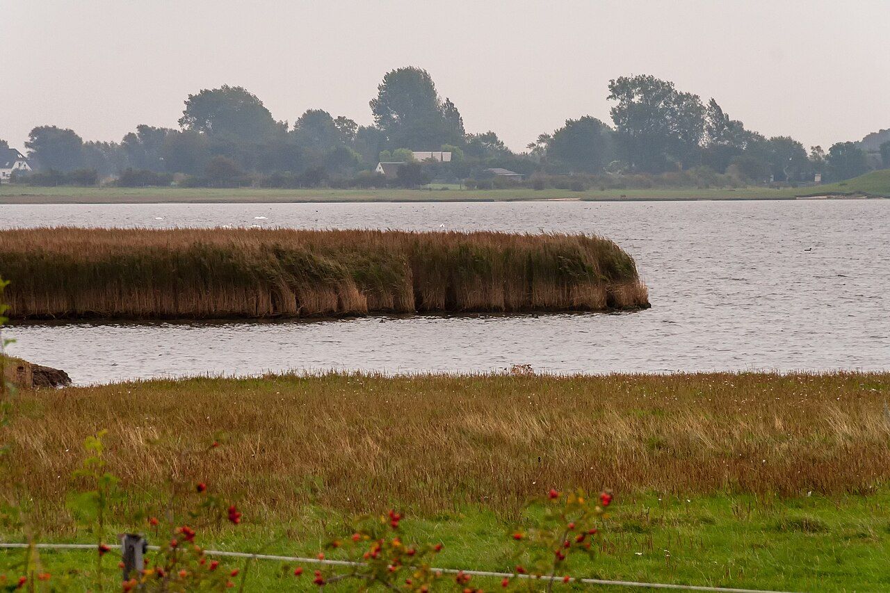 Fauler See - Rustwerder/Poel