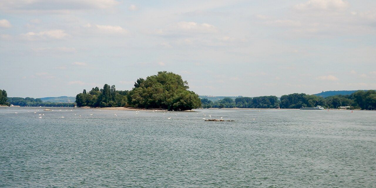 Rüdesheimer Aue