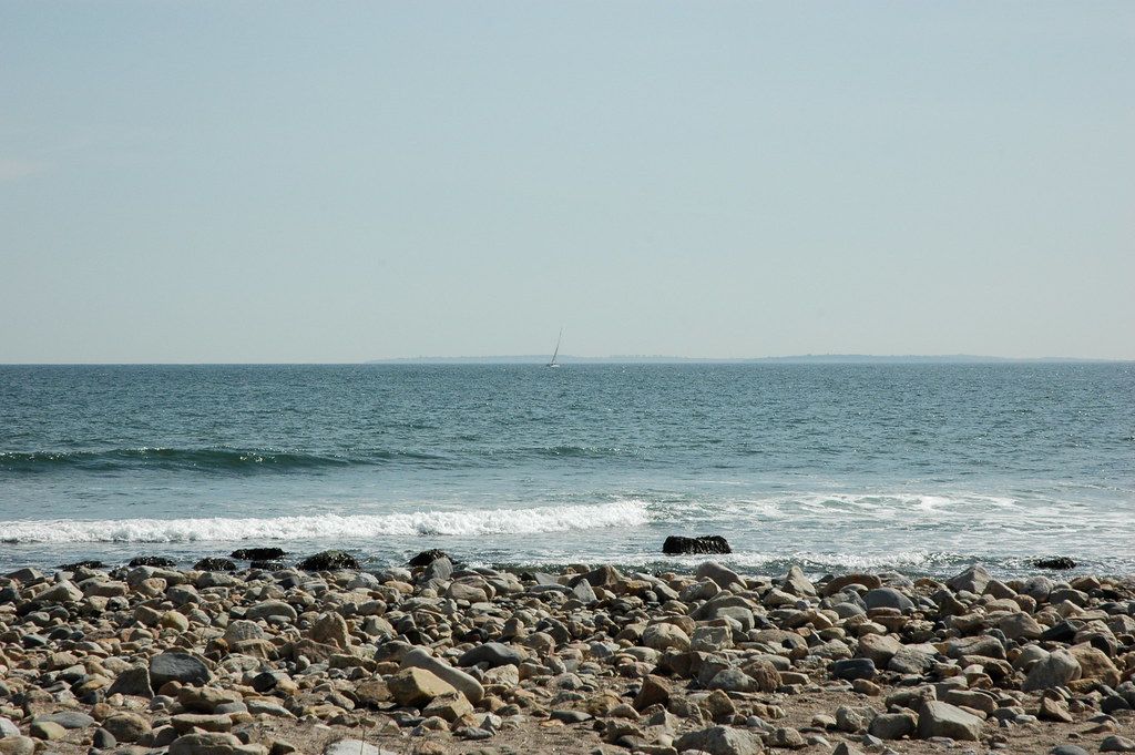 Reef US-NE