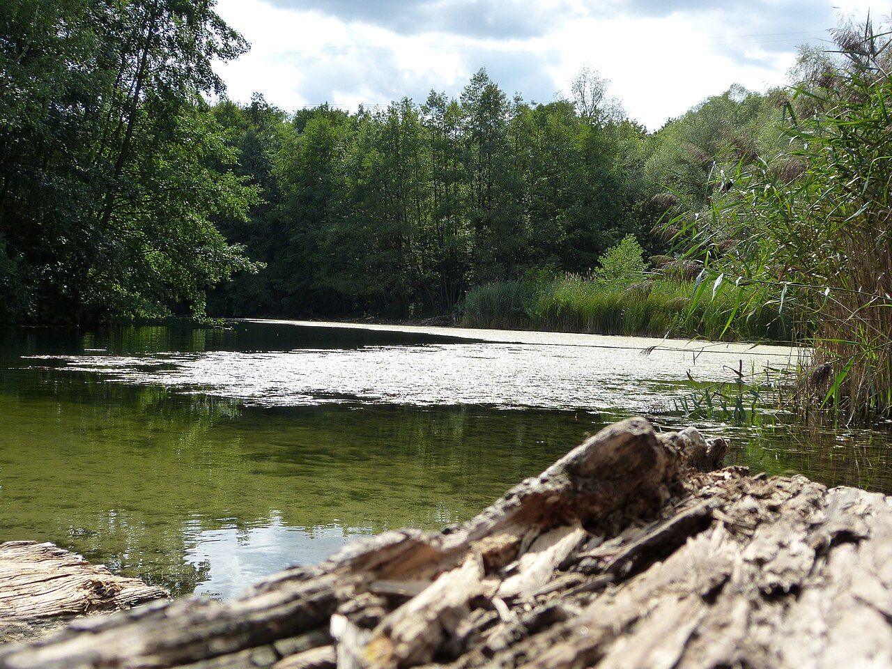 Oberwaldsee von Dietesheim