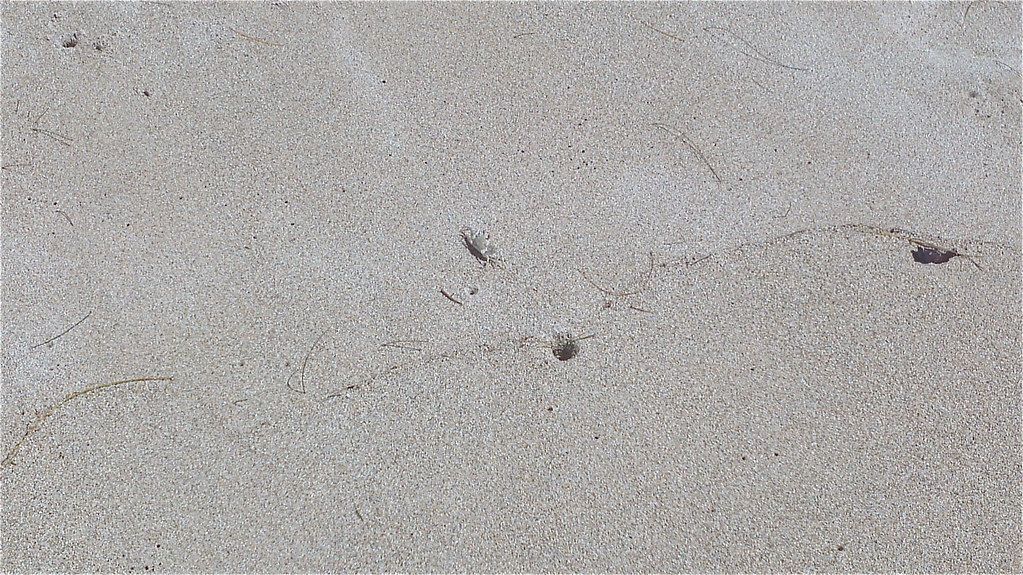 Plage US-HI