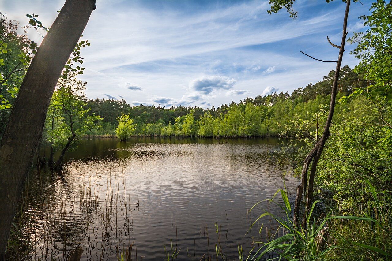 Rallenteich von Eppertshausen