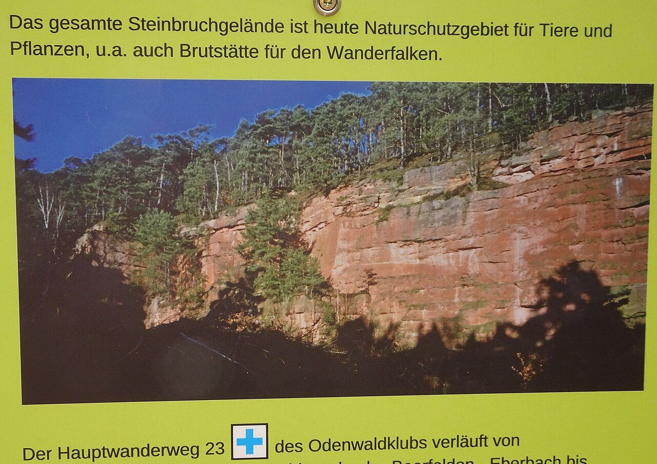 Sandsteinbrüche am Burzelberg bei Frau-Nauses