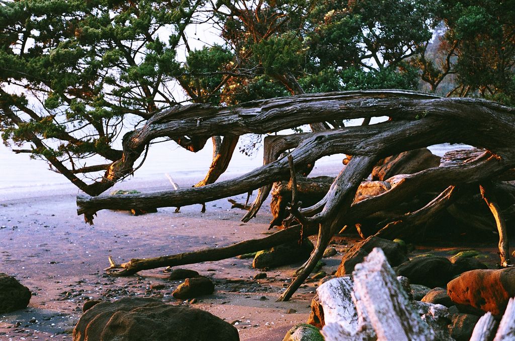 Plage NZ-N
