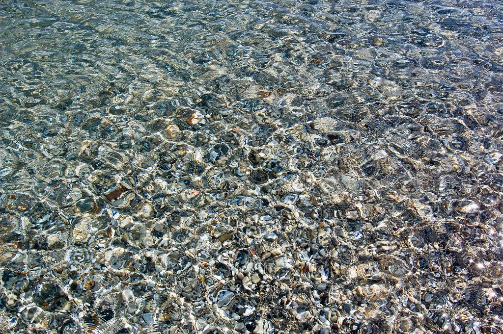 Reef CA-C