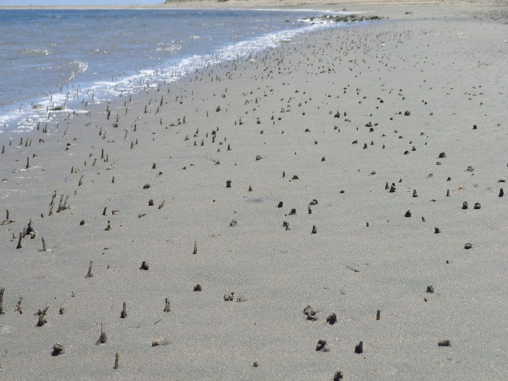 Plage US-W