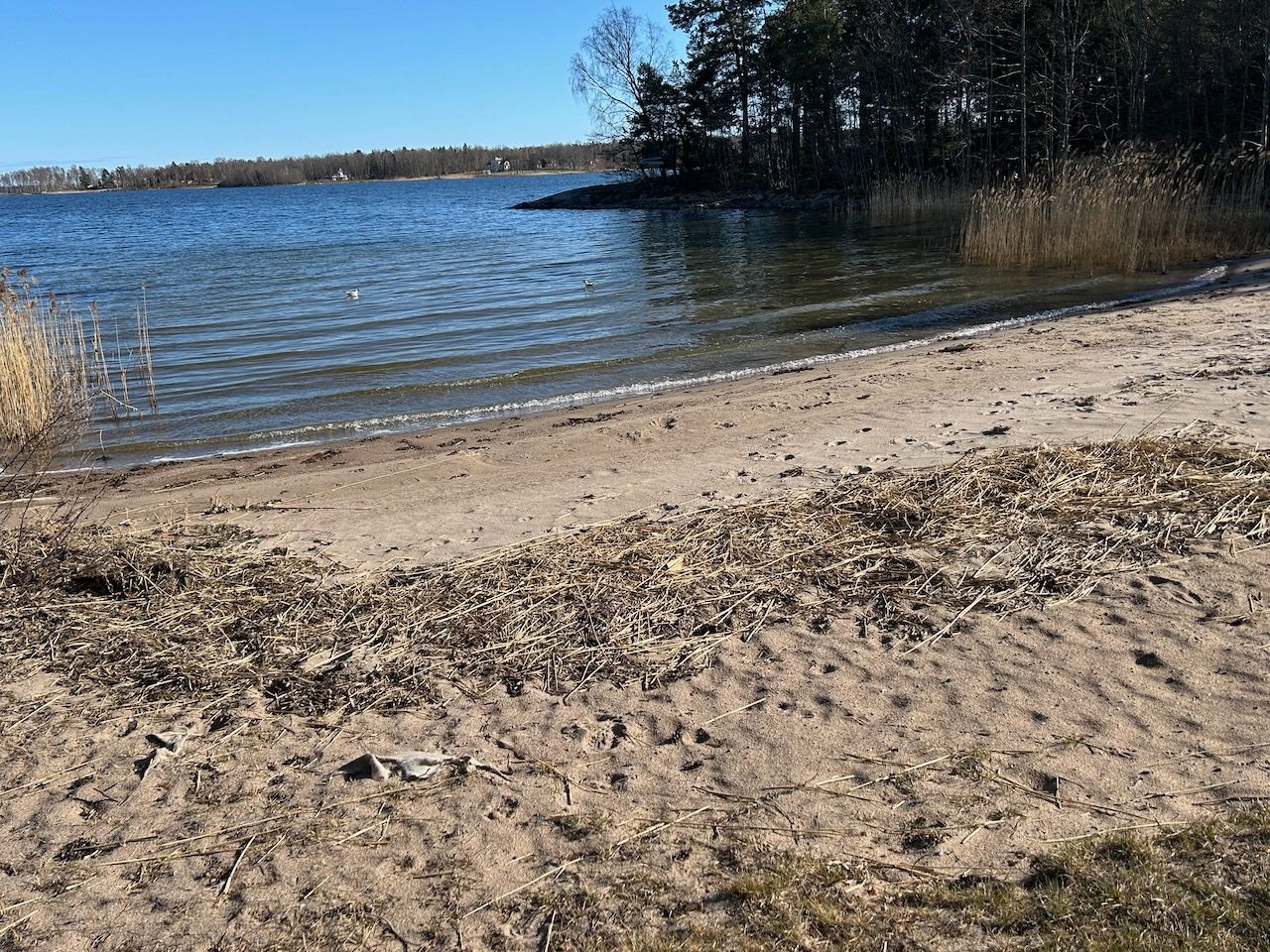 Plage SE-S