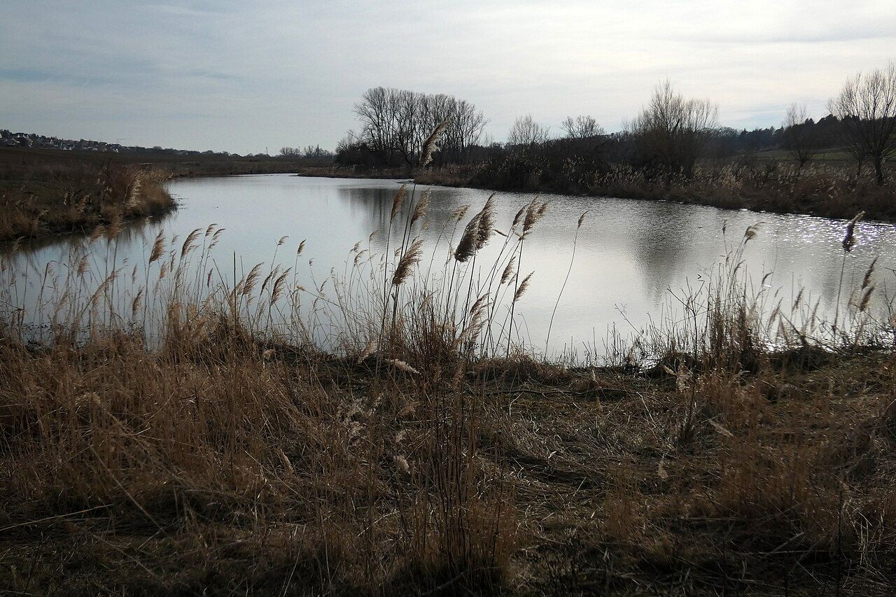 Der Hohenberg
