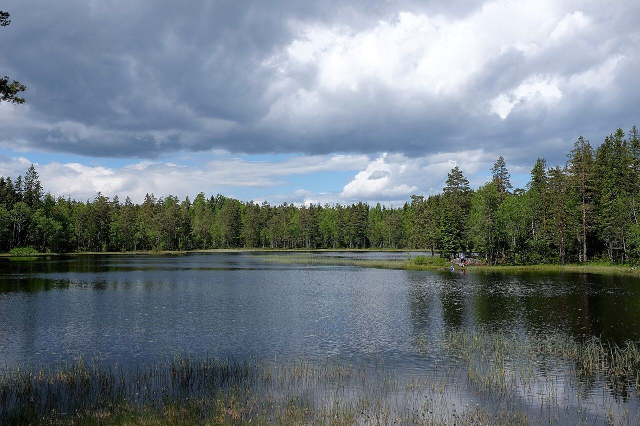 Slattumsrøa naturreservat