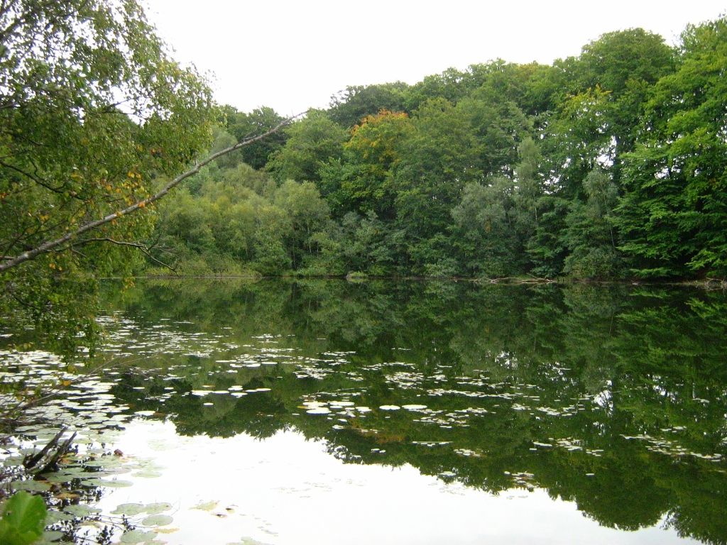 Teufelssee bei Thelkow