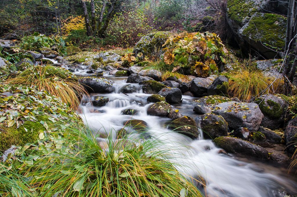 Brandy Creek