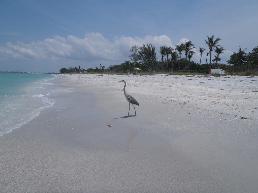 Gasparilla Inn Beach Club