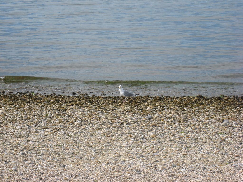 Plage US-NE