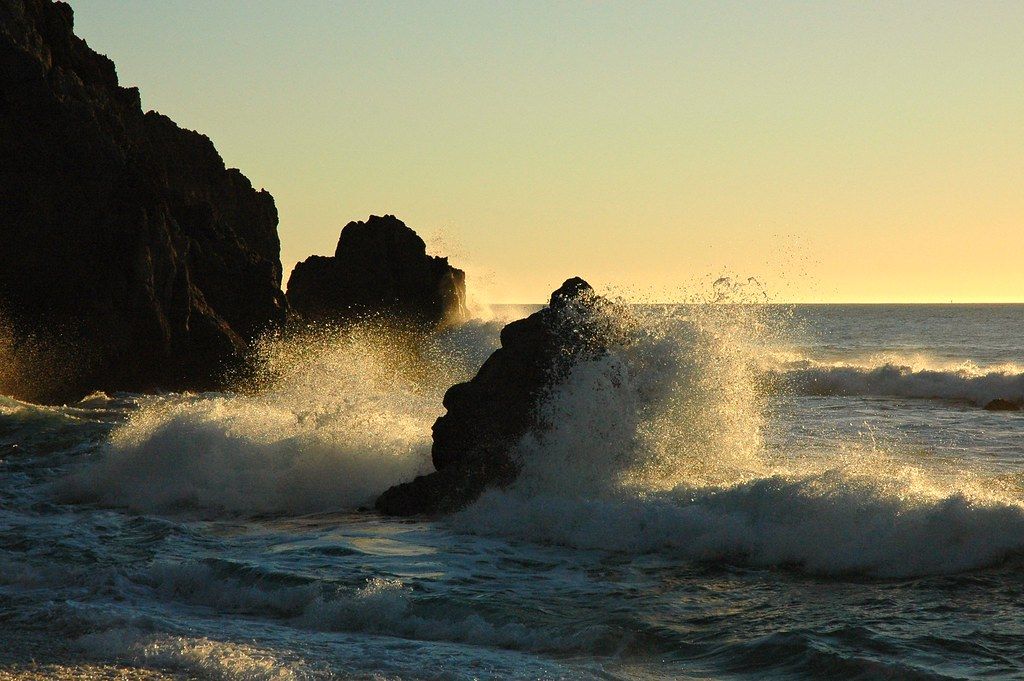 Golden Cove