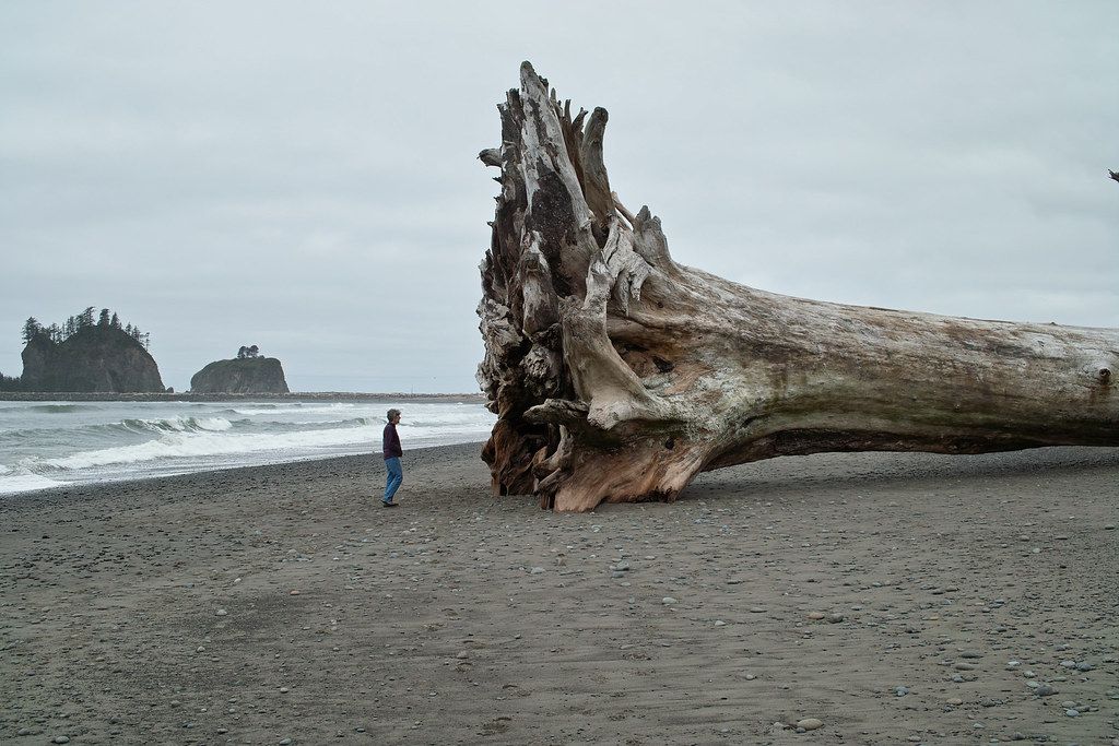 First Beach