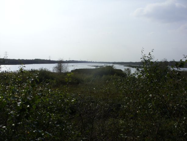 Neudorfer Moor