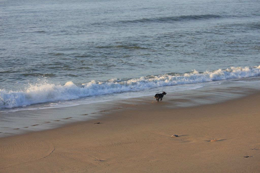 The Spit Beach