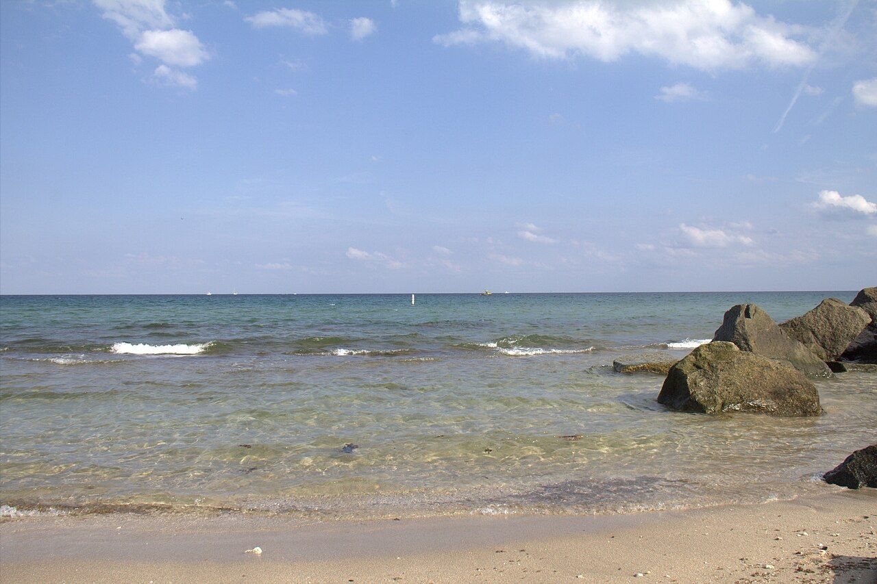 Reef BS