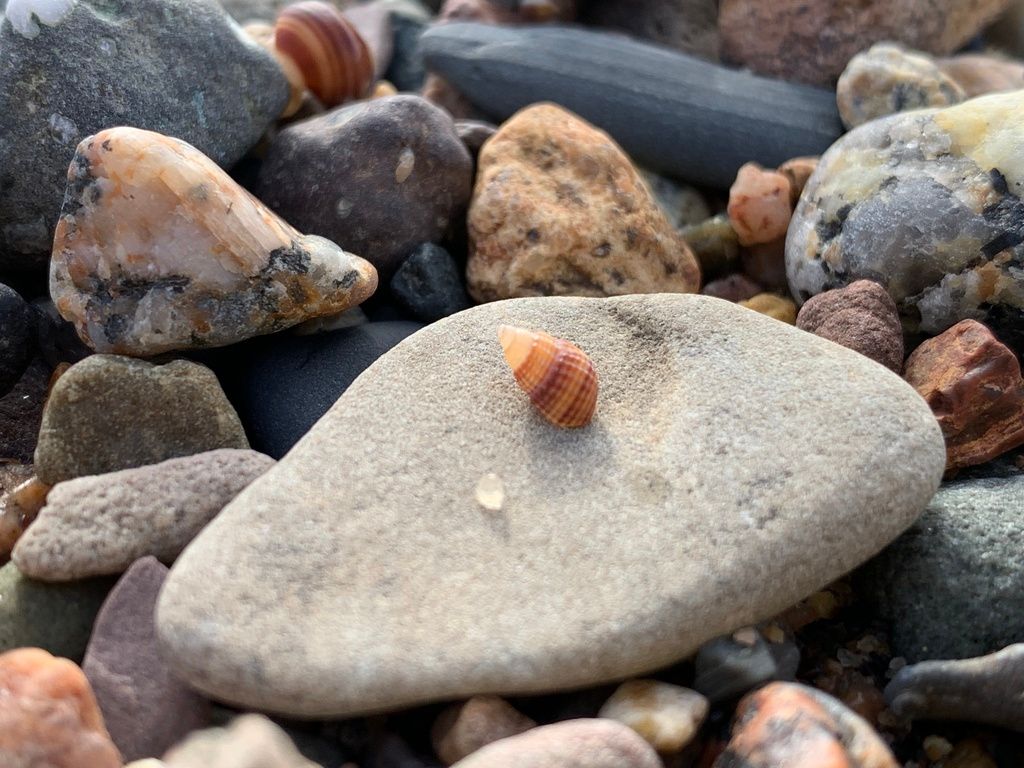 Plage CA-E