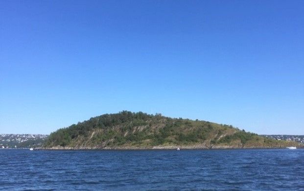 Husbergøya naturreservat
