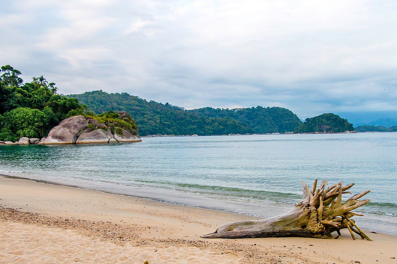 Laboratory Beach