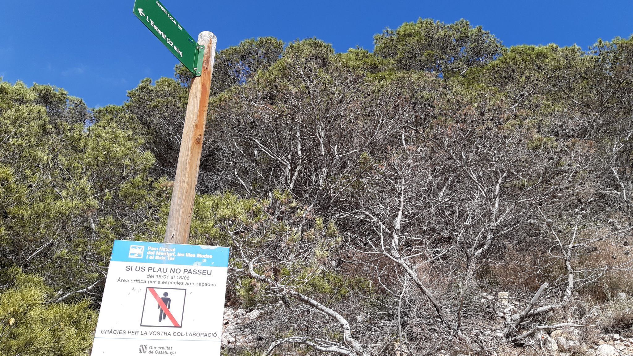Cala Calella in l'Estartit