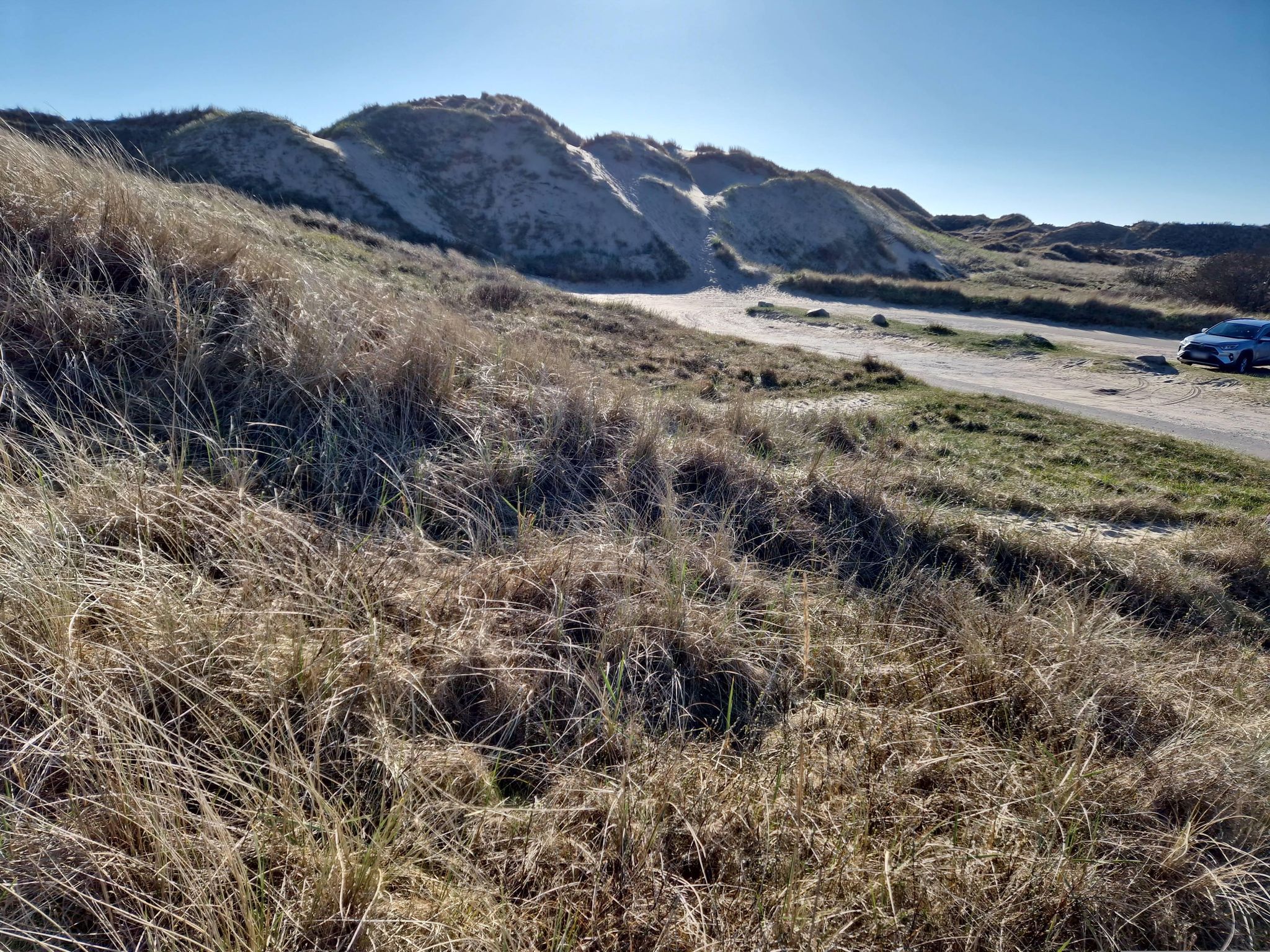 Skagen Syd, V, Damstedvej