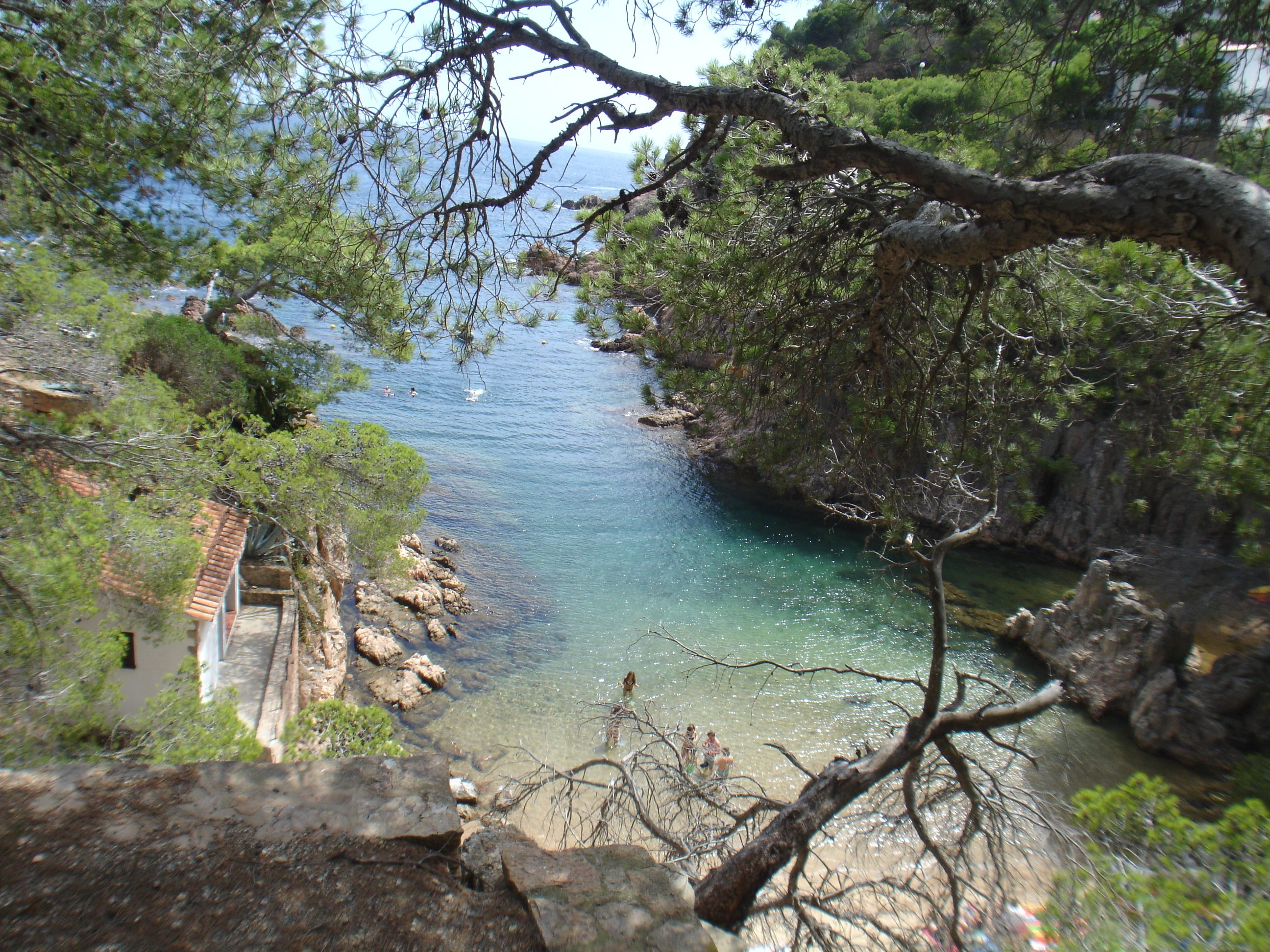 Aigua Xelida