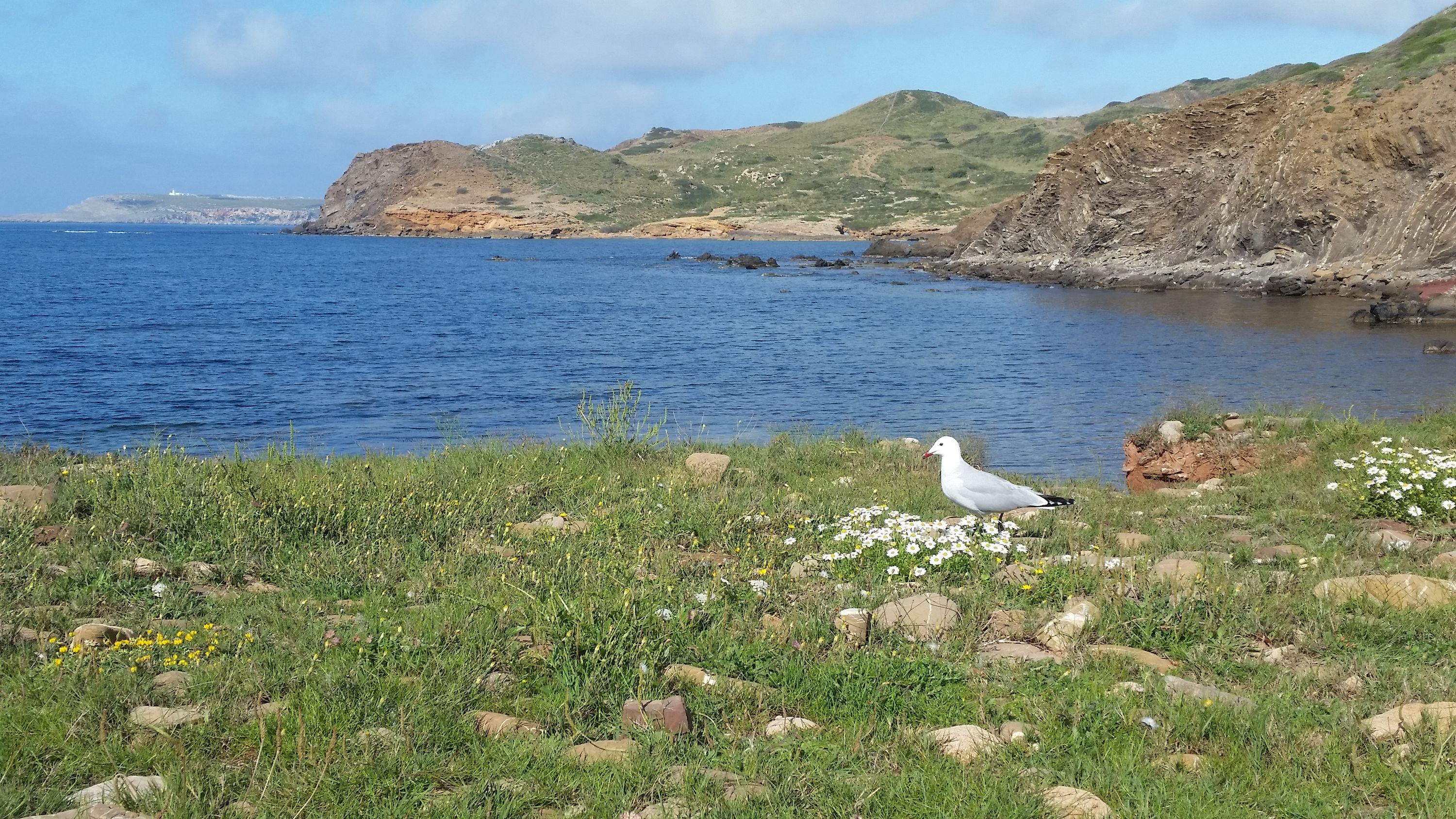 Cala Es Morts