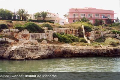 Degollador