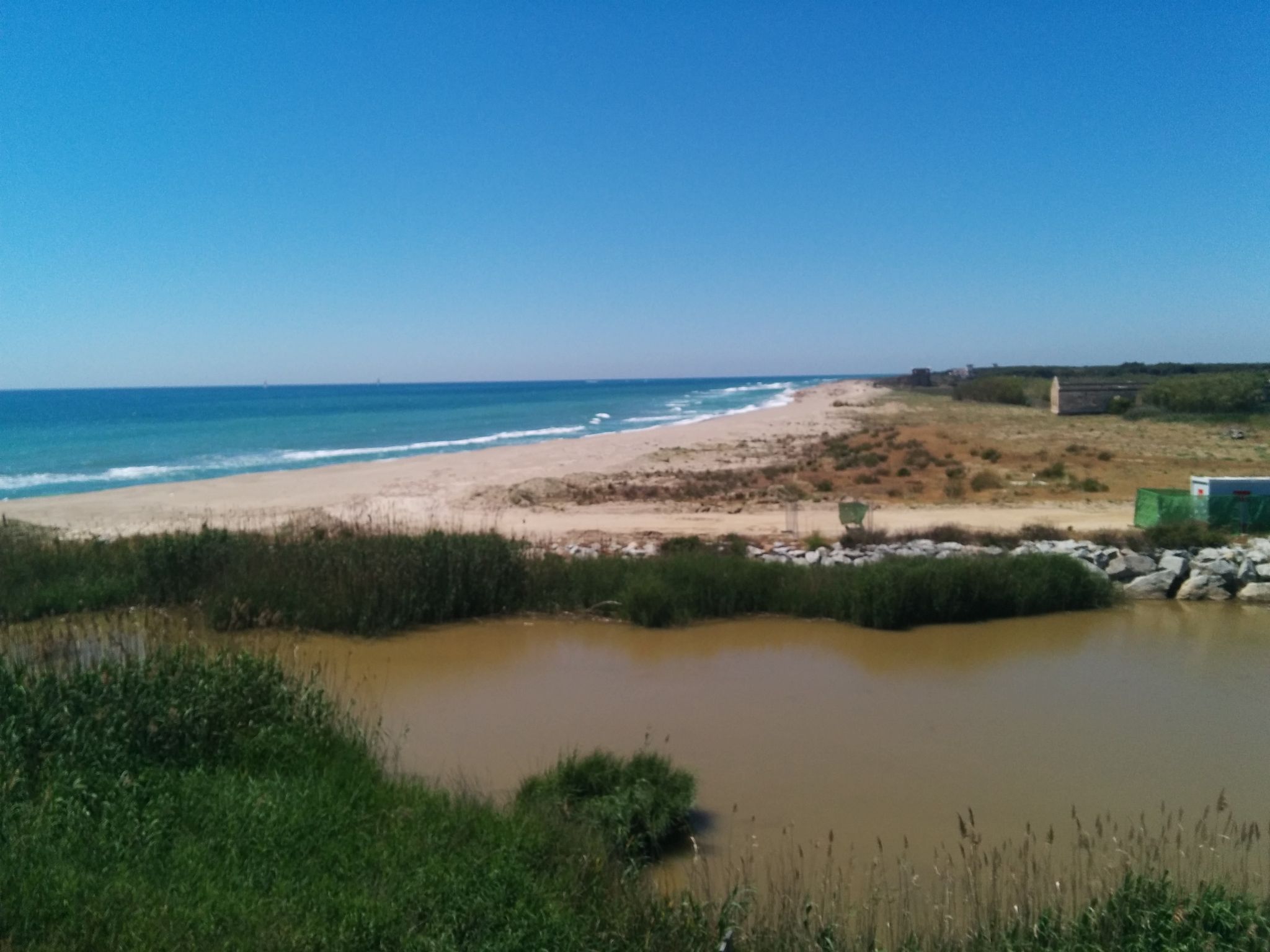 Platja de la Ricarda - Ca l'Arana