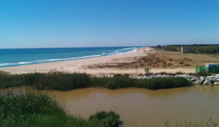 Platja de la Ricarda - Ca l'Arana