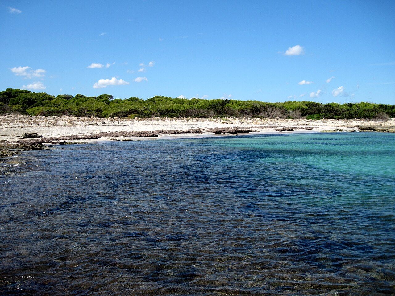 L'Arenal d'en Casat