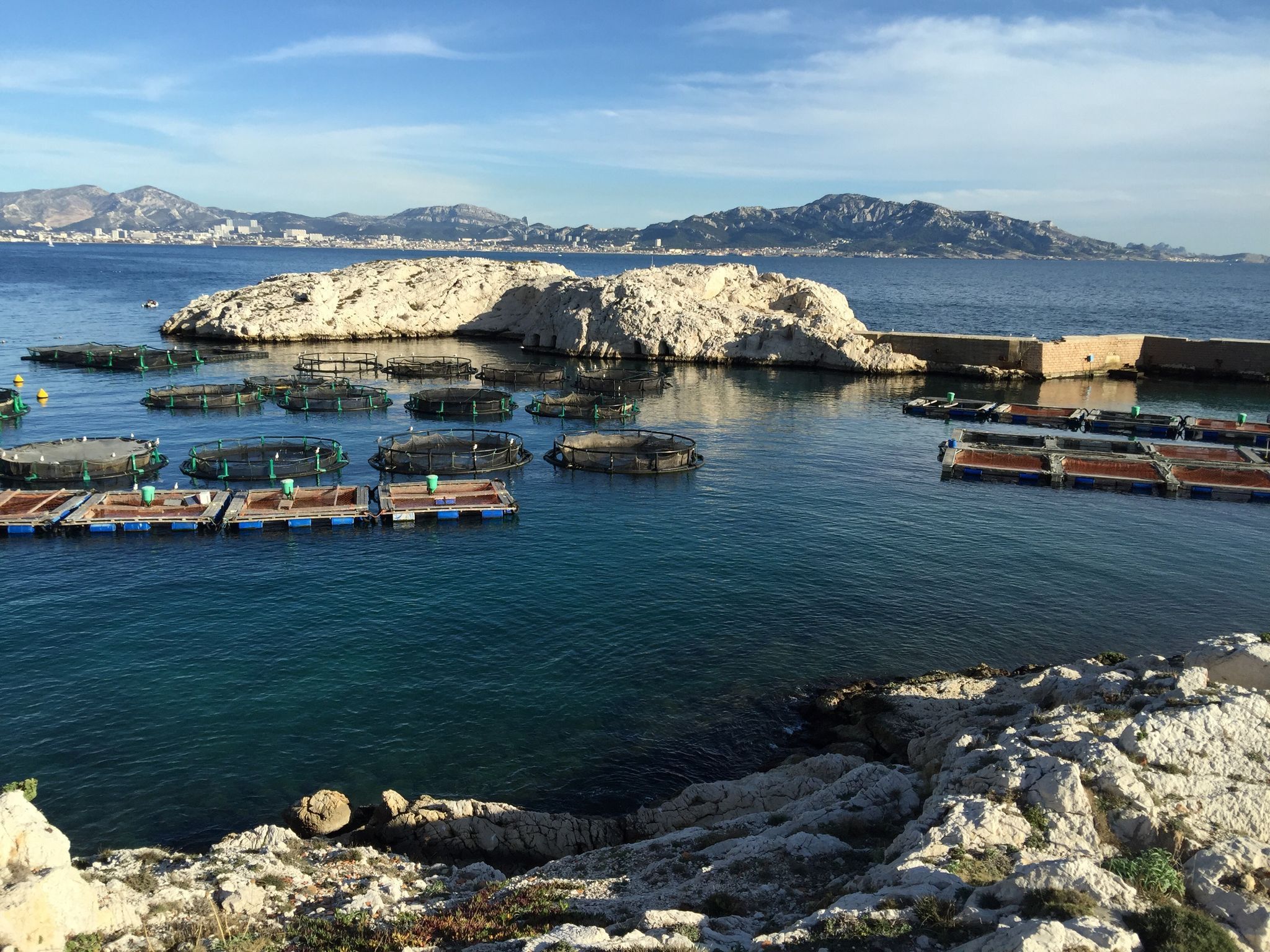 Port de Pomègues