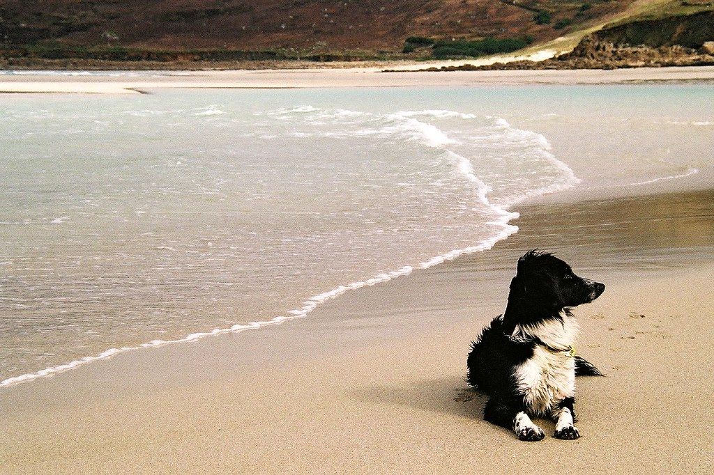 Sennen Beach