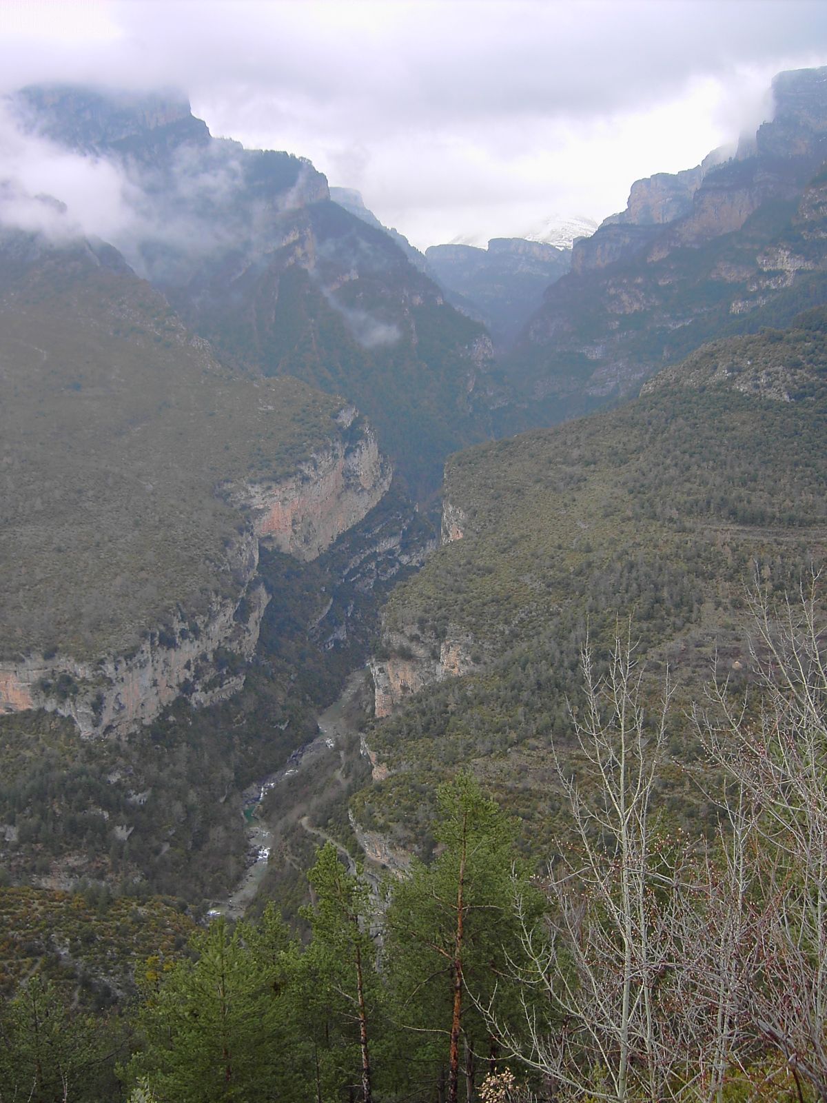 El Portiello