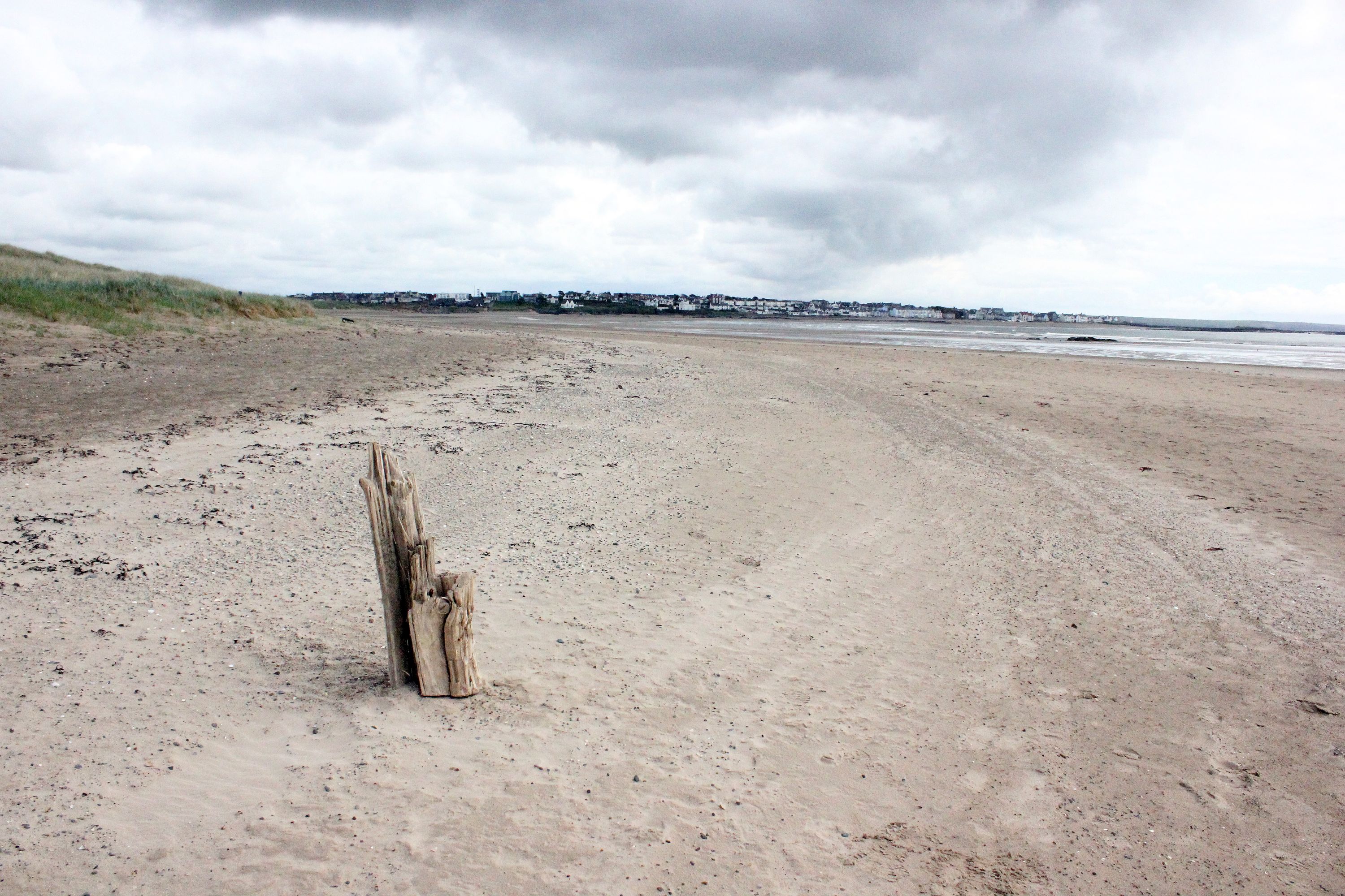 Traeth Crigyll