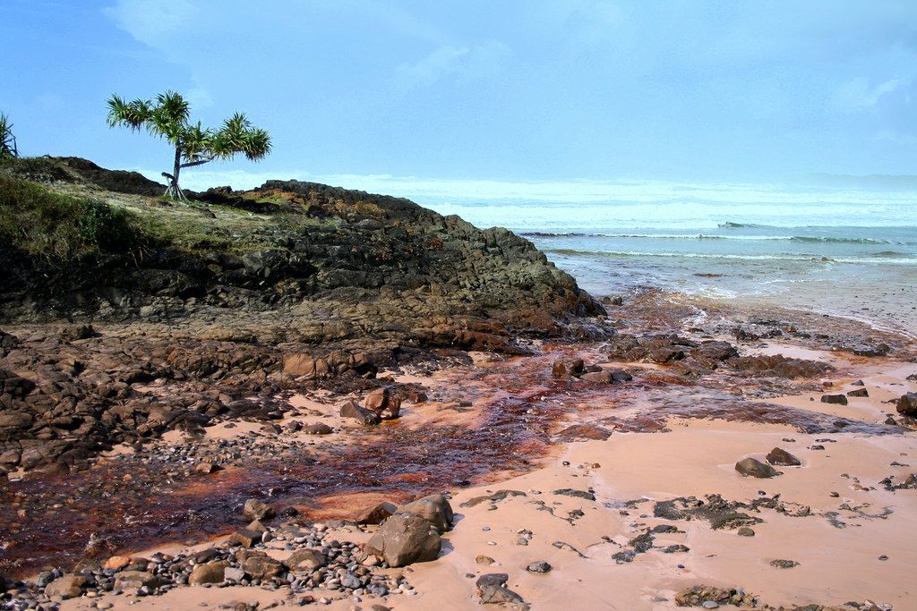 Evans Head Beach