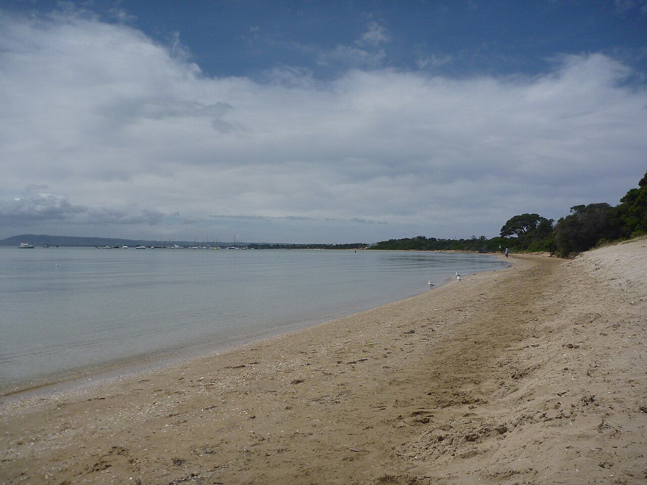 Koonya Ocean Beach