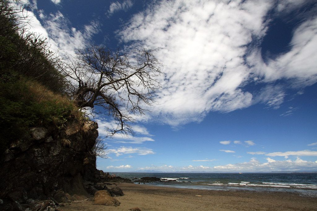 Pacific Beach