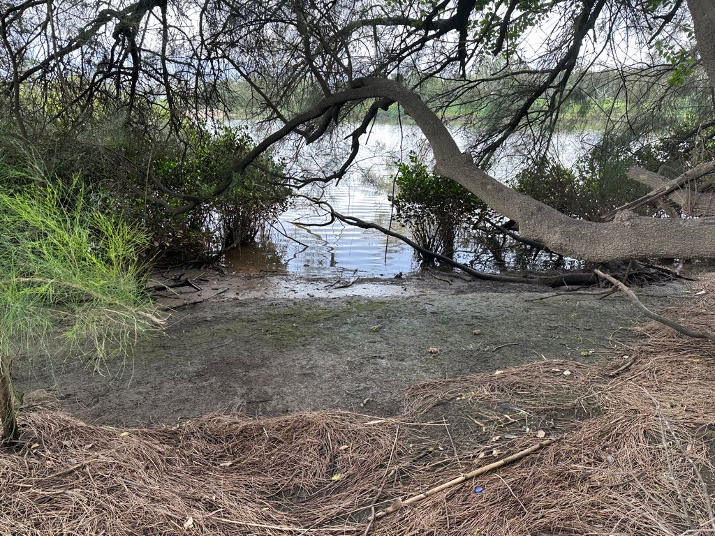 Backwater Beach
